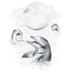 LOST BEACH BALL 02888SA6.gif